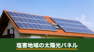 沿岸部・塩害地域の太陽光パネル｜腐食のリスクと重塩害対応品の選び方